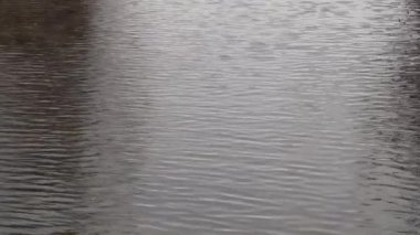 Gün boyunca rüzgârda bir arka plan olarak nehir akışı