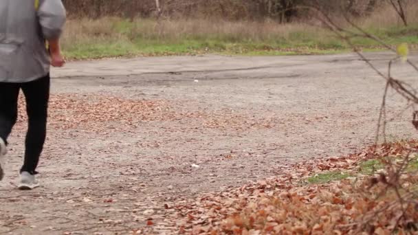 Mann Läuft Herbst Morgens Joggend Durch Den Wald — Stockvideo