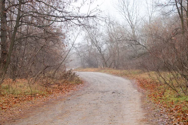 Camino Bosque Mañana Otoño Ucrania Ciudad Dnipro — Foto de Stock