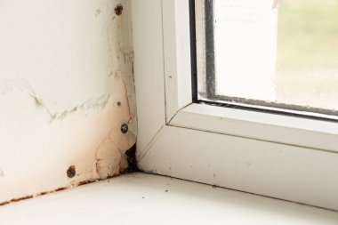 Küf ve nem yüzünden hasar görmüş bir dairedeki metal-plastik pencere.