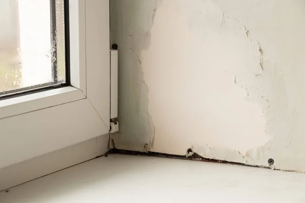 Küf ve nem yüzünden hasar görmüş bir dairedeki metal-plastik pencere.