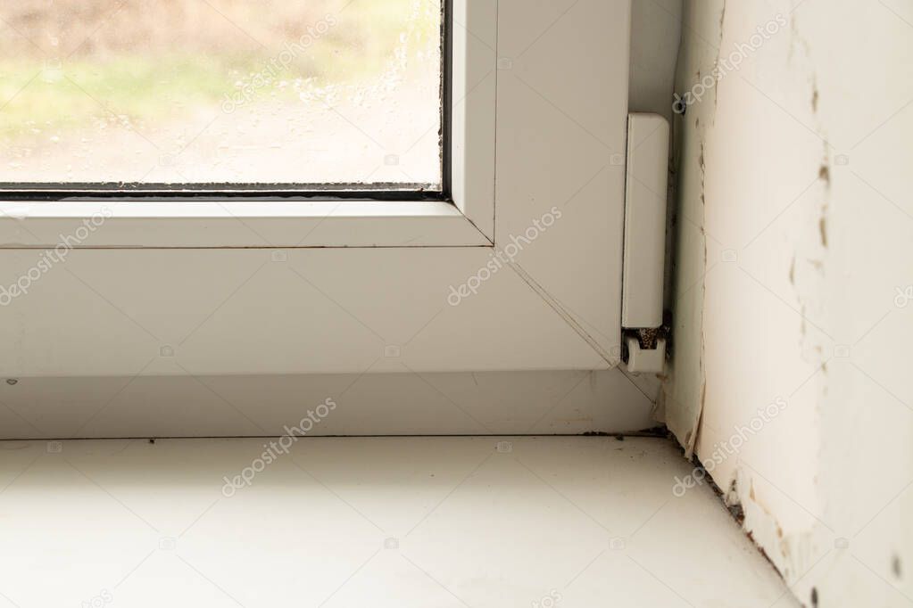 metal-plastic window in an apartment damaged by mold and moisture close-up