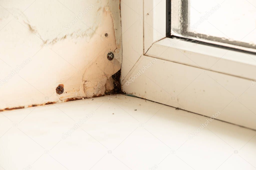 metal-plastic window in an apartment damaged by mold and moisture close-up