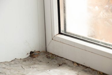 Penceredeki yamacın tamiri, penceredeki mantar, dairedeki pencere...