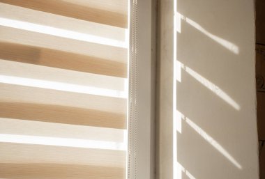 Bej paten, gündüzleri pencerenin önünde güneşlenir.