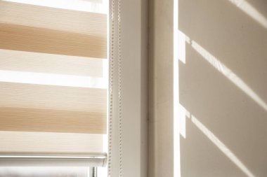 Bej paten, gündüzleri pencerenin önünde güneşlenir.