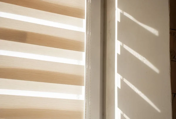 Bej paten, gündüzleri pencerenin önünde güneşlenir.