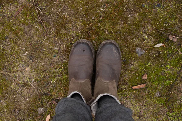 Vrouwelijke Benen Grijze Broek Bruine Laarzen Grond Het Bos Herfstmiddag — Stockfoto