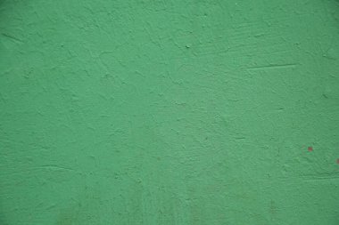 Arkaplan olarak bir evin yeşil kaba duvarı