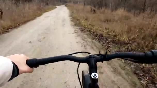 Ein Mädchen Auf Dem Fahrrad Fährt Dezember Auf Einem Waldweg — Stockvideo