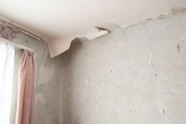 Konut binasının duvarındaki eski duvar kağıtlarını sökmek, bir apartman dairesini yenilemek.