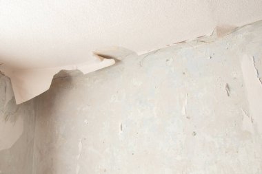 Konut binasının duvarındaki eski duvar kağıtlarını sökmek, bir apartman dairesini yenilemek.