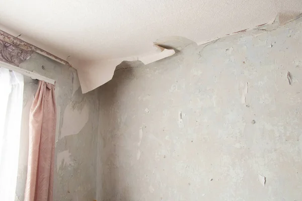 removing old paper wallpaper from the wall in a room of a residential building, renovating an apartment