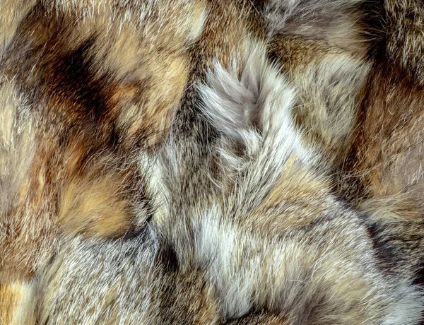 毛皮の茶色の毛皮のコートの背景は — ストック写真