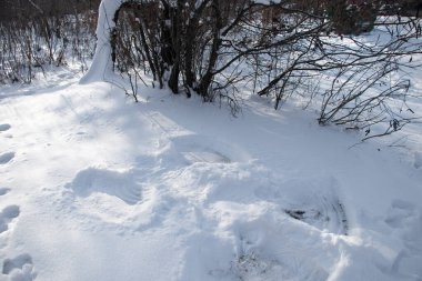 İnsan eli ve ayakları tarafından yapılan ormanda kanatları olan bir melek figürü.