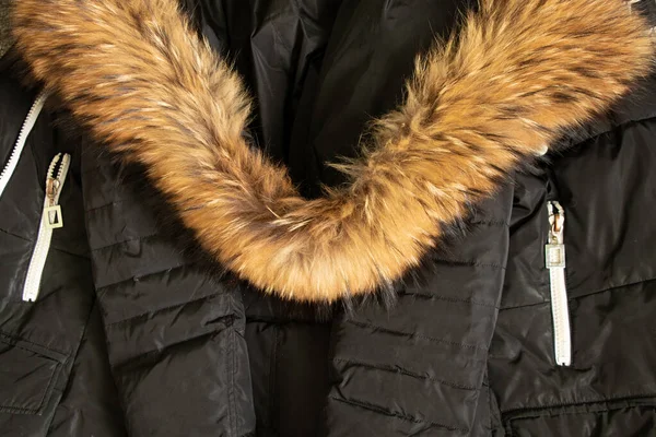 Black Women Jacket Fur Collar Hood Background Winter Clothing — ストック写真