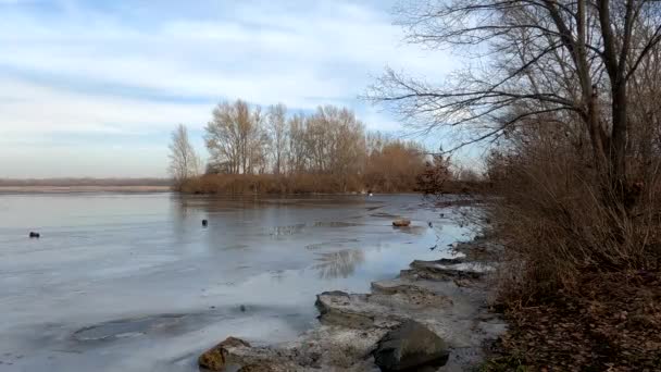Invierno paisaje río en el hielo y el bosque en Ucrania — Vídeo de stock