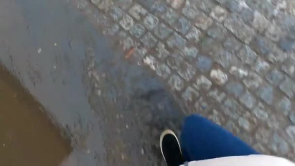 Gambe Una Ragazza Che Cammina Sulla Strada Sotto Pioggia Mattino — Video Stock
