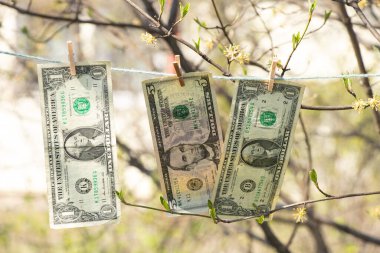 Dolar banknotları baharda bahçedeki iplere bağlıdır, para