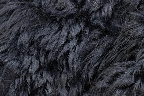 fur black fur coat as background close-up