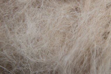 arka plan makro fotoğrafı olarak beyaz yumuşak doğal yün