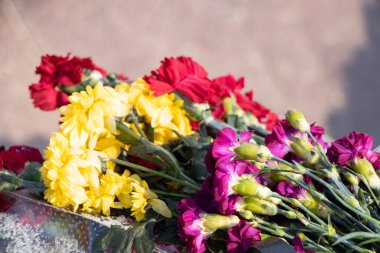 Karanfil çiçekleri, 9 Mayıs 'ta savaşta ölenlerin anıtının yanında yatıyor.