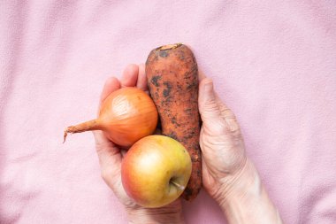 onions, carrots and apple dirty in the hands of grandmother on the table, harvest, vegetables and fruits