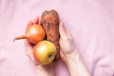 onions, carrots and apple dirty in the hands of grandmother on the table, harvest, vegetables and fruits