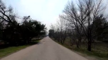 Parkta uzun asfalt yol ilkbaharda güneşli bir günde Ukrayna 'da Dnipro şehrinde bisiklet