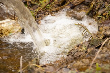 Sonbaharda Dnipro şehrinde Ukrayna 'daki ormanda şelale, sonbaharda ormanda şelale