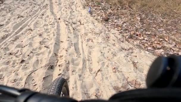 ウクライナのドニエプル川への砂の道は 川に歩いてください — ストック動画