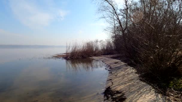 Brzeg Rzeki Dniepru Ukrainie Wczesnym Rankiem Wiosną — Wideo stockowe