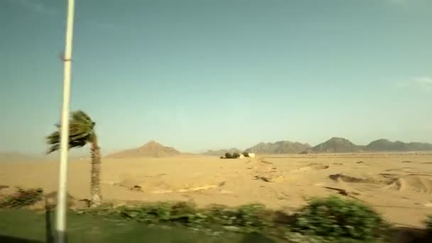 Sharm El Sheikh öken utsikt från bussfönstret på sand och palmer längs vägen, Egypten — Stockvideo