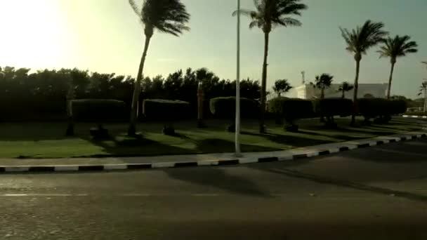 Sharm El Sheikh vista do deserto a partir da janela de ônibus na areia e palmeiras ao longo da estrada, Egito — Vídeo de Stock