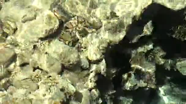 Mar rojo ola vista del agua de los corales en el agua como fondo — Vídeos de Stock
