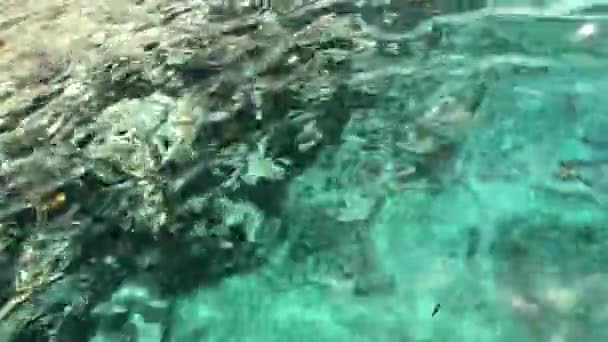 Mer rouge vague eau vue de coraux dans l'eau comme fond — Video