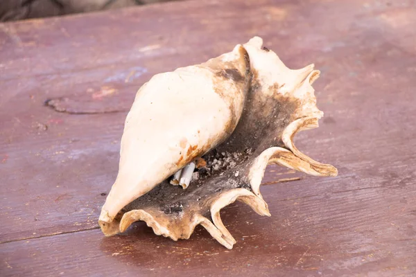 Smoked cigarettes lie in seashells on an old wooden table in the sun at a resort — Stock Photo, Image