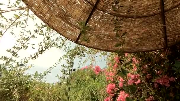 Beach straw umbrella in fresh flowers against the backdrop of a sunny sky in africa in egypt — Stock Video