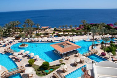 Afrika 'da Mısır' da Kızıl Deniz kıyısındaki bir otelde havuz ve palmiye ağaçları.