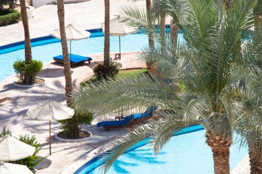 Afrika 'da Mısır' da Kızıl Deniz kıyısındaki bir otelde havuz ve palmiye ağaçları.