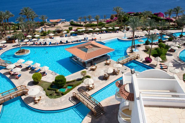 Piscine Palmiers Dans Hôtel Sur Les Rives Mer Rouge Egypte — Photo