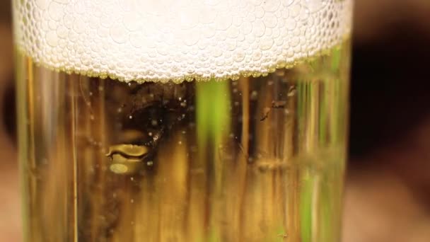 Bicchiere Con Birra Strada Sul Tavolo Primo Piano — Video Stock