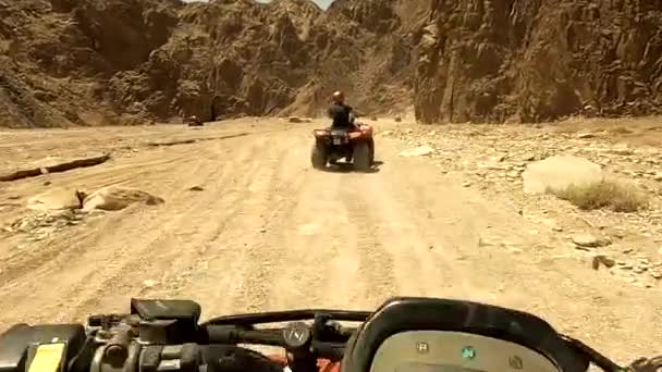 Egypten Sharm Sheikh 2021 Atv Ridning Öknen Eftermiddagen Solen — Stockvideo