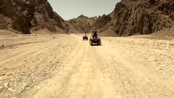 Egitto Sharm Sheikh 2021 Atv Cavallo Nel Deserto Nel Pomeriggio — Video Stock