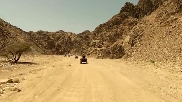 Egitto Sharm Sheikh 2021 Atv Cavallo Nel Deserto Nel Pomeriggio — Video Stock