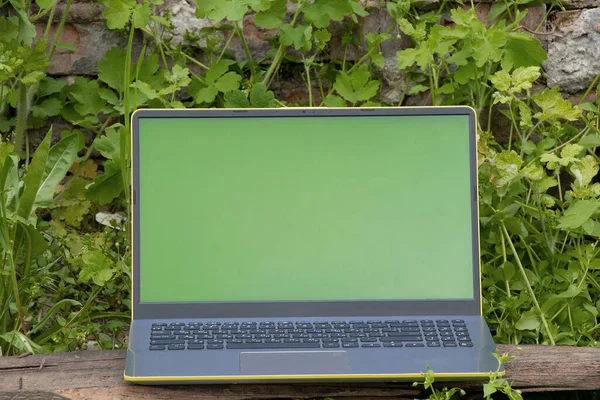 Laptop Pustym Ekranem Stoi Trawie Parku Wiosennym Laptop Przyrodzie — Zdjęcie stockowe