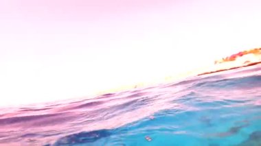 Mısır 'da kızıl denizde şnorkelle yüzmek, mercan resifleri ve deniz balıkları, kızıl deniz.