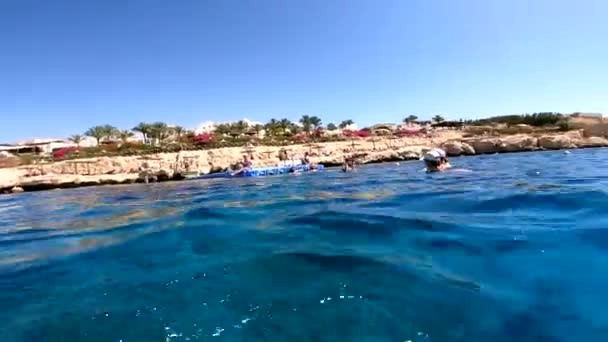 Mergulho Com Snorkel Mar Vermelho Egito Recifes Coral Peixes Marinhos — Vídeo de Stock