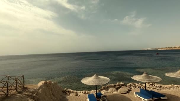 Egipto Sharm Sheikh 2021 Territorio Del Hotel Con Una Piscina — Vídeo de stock