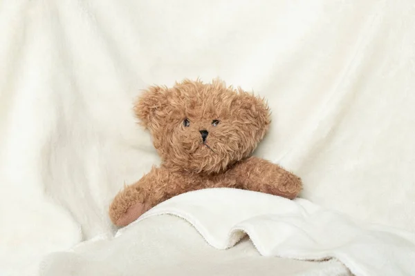 Bruine Baby Teddybeer Een Witte Zachte Deken Baby Speelgoed — Stockfoto